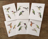 card pack - Hummingbirds of California