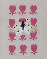 8" x 10" print - Parnassian butterfly and Bleeding Hearts