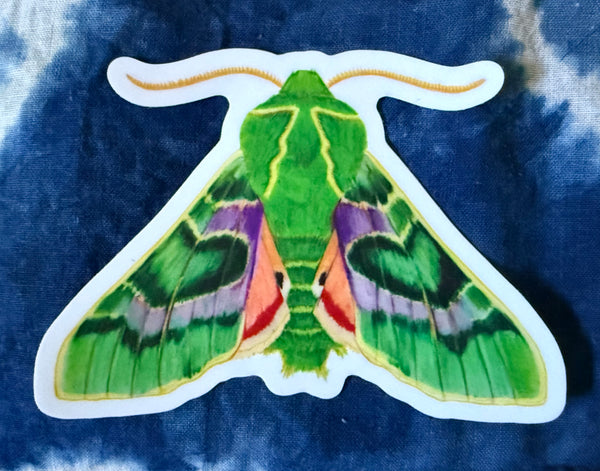 sticker - Pacific Green Sphinx