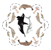 California Ecosystems - Orcas Near the Farallones (original)