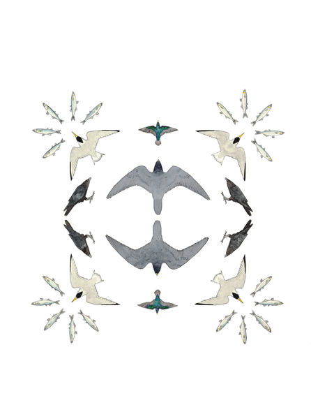 Ecosystem Card - Peregrines in the Baylands