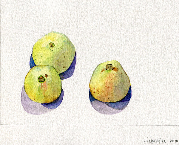 Heirloom Apples - crab apples