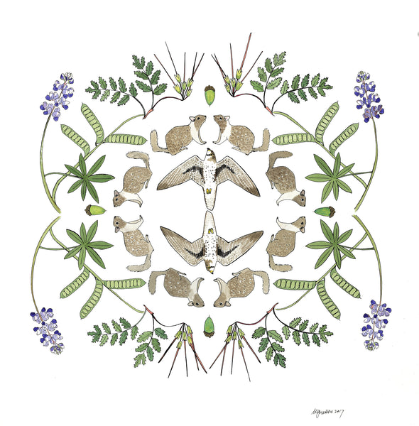 California Ecosystems - Prairie Falcon food web (original)