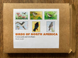 card pack - Birds of North America