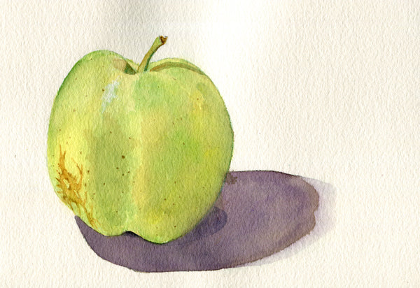 Heirloom Apples - Bellflower