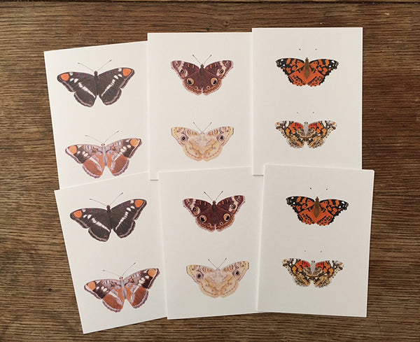 card pack - Butterflies of California