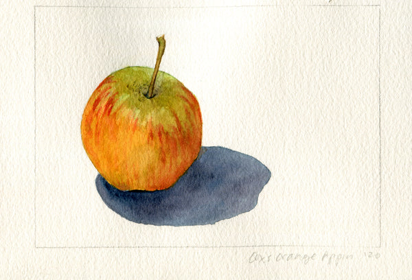 Heirloom Apples - Cox's Orange Pippin