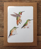 card pack - Hummingbirds of California