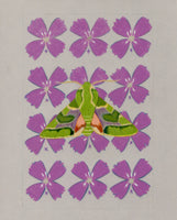 Patterns In Nature - Bear Sphinx moth and Winecup Clarkia (original)