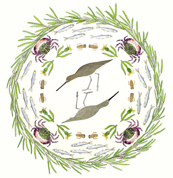 Ecosystem Card - Willets in the Pickleweed