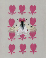 Patterns In Nature - Parnassian butterfly and Bleeding Hearts (original)