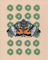 8" x 10" Print - Annaphila moth and Miner's Lettuce