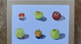 card pack - Heirloom Apples