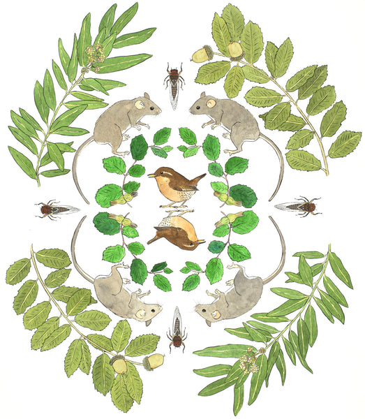 California Ecosystems - Wrens on the Hazelnuts (original)