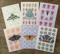 card pack - Patterns In Nature