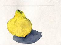 Heirloom fruit - Quince